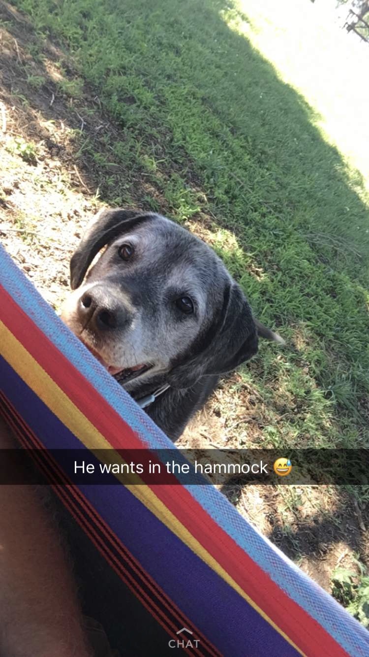 The Hectic Lives of J and&nbsp;V